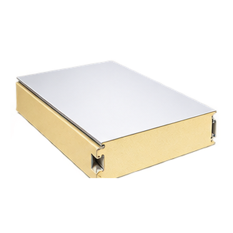 Cold Room Insulated Ceiling Panel